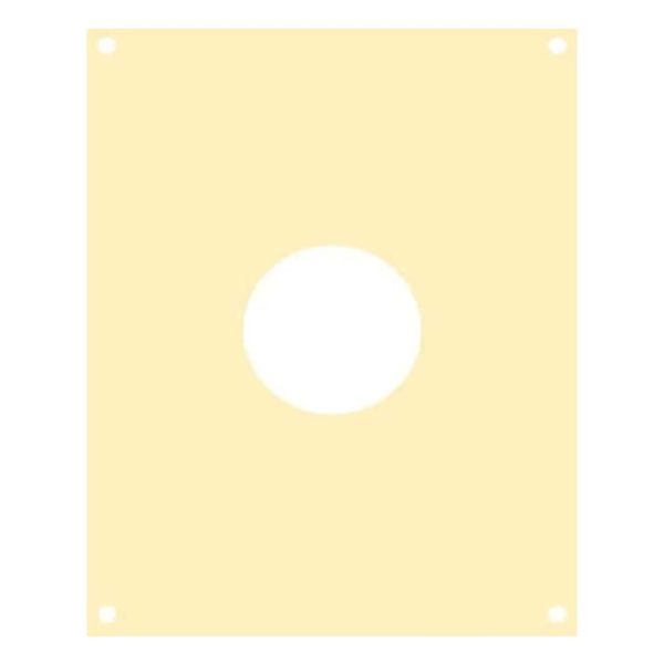 Air Pistol Template For 10m